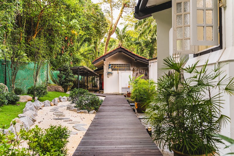Chef Javier Low plating at open kitchen counter