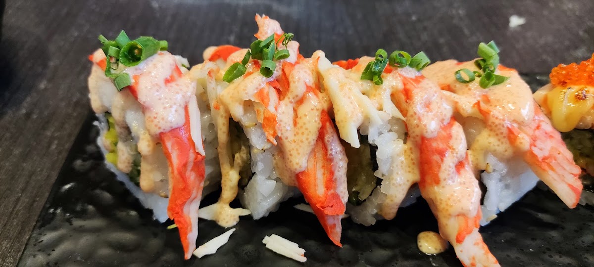 Watami Extreme Tendon