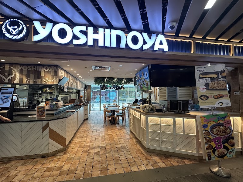 Yoshinoya 12
